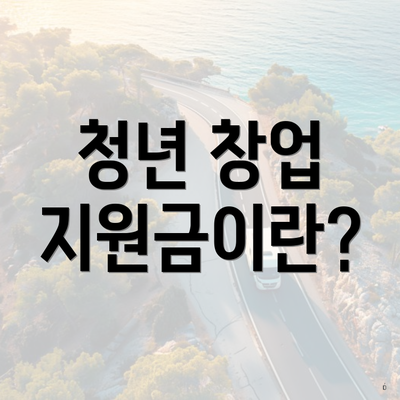 청년 창업 지원금이란?