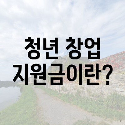 청년 창업 지원금이란?