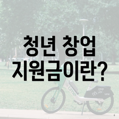 청년 창업 지원금이란?