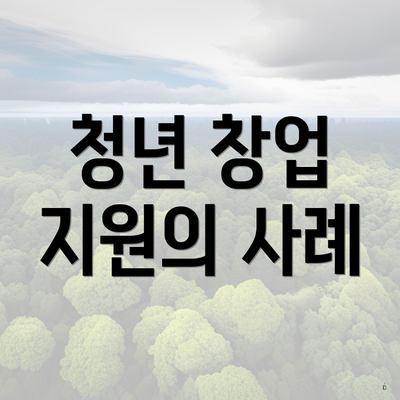 청년 창업 지원의 사례
