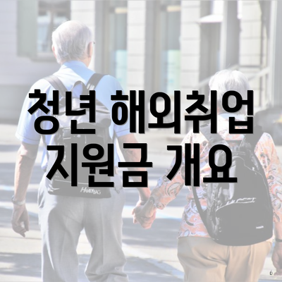 청년 해외취업 지원금 개요