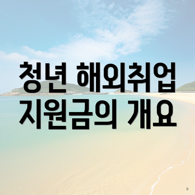 청년 해외취업 지원금의 개요