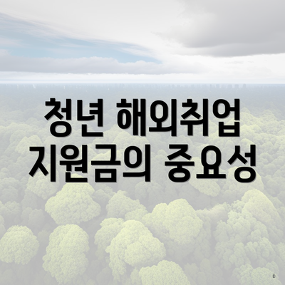 청년 해외취업 지원금의 중요성