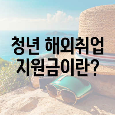 청년 해외취업 지원금이란?