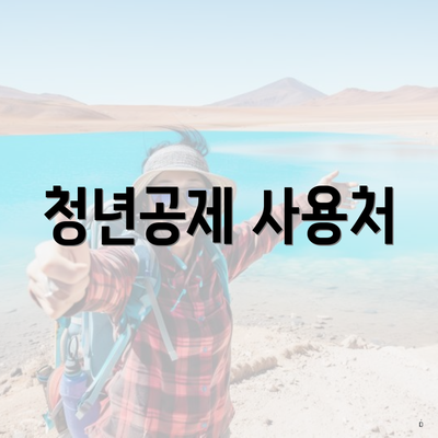 청년공제 사용처