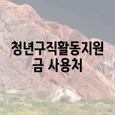 청년구직활동지원금 사용처