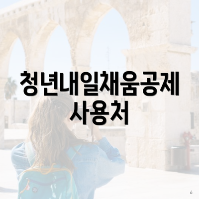 청년내일채움공제 사용처