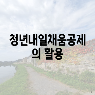 청년내일채움공제의 활용