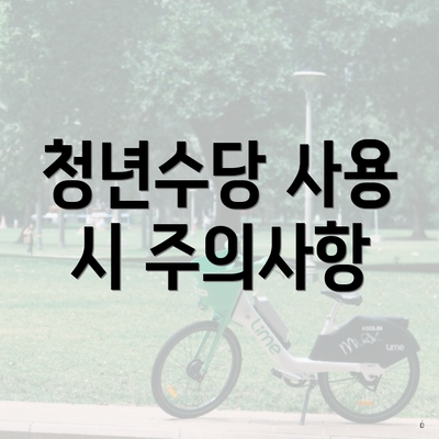 청년수당 사용 시 주의사항