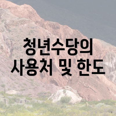 청년수당의 사용처 및 한도