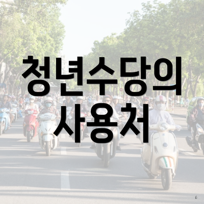 청년수당의 사용처
