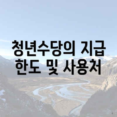 청년수당의 지급 한도 및 사용처