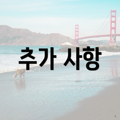 추가 사항