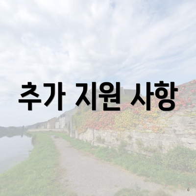 추가 지원 사항