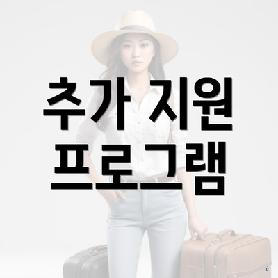 추가 지원 프로그램