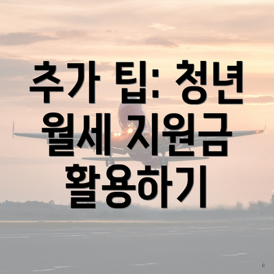 추가 팁: 청년 월세 지원금 활용하기