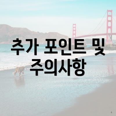 추가 포인트 및 주의사항