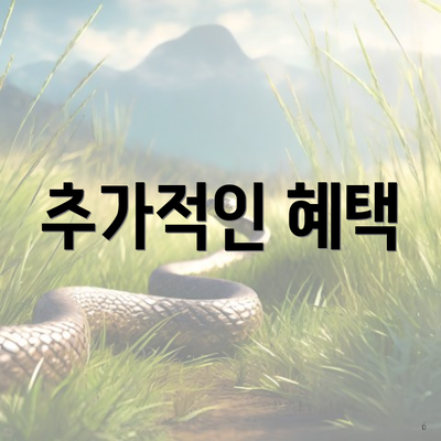 추가적인 혜택