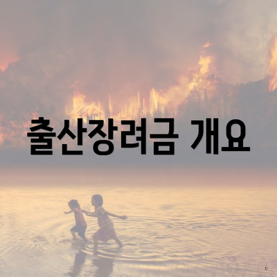 출산장려금 개요