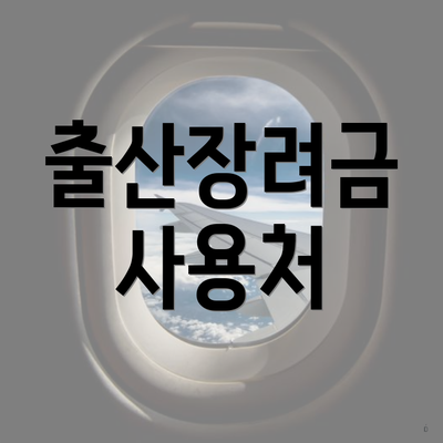 출산장려금 사용처