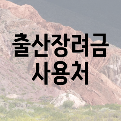 출산장려금 사용처