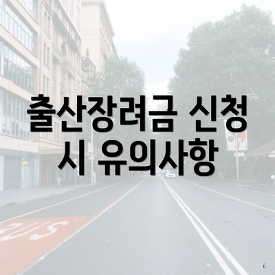 출산장려금 신청 시 유의사항