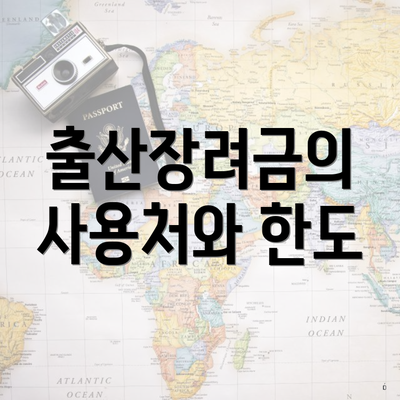 출산장려금의 사용처와 한도