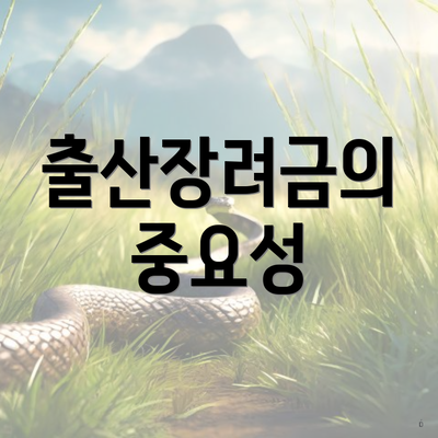 출산장려금의 중요성