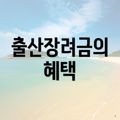출산장려금의 혜택