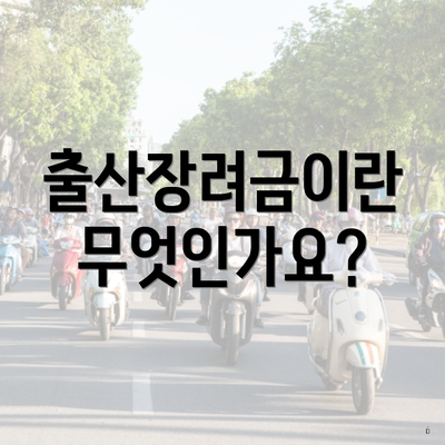 출산장려금이란 무엇인가요?