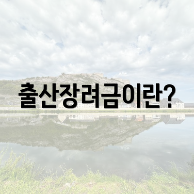 출산장려금이란?