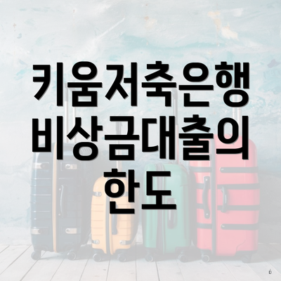 키움저축은행 비상금대출의 한도