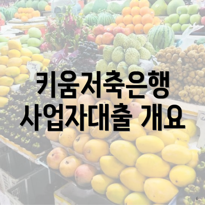 키움저축은행 사업자대출 개요