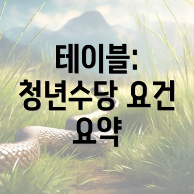 테이블: 청년수당 요건 요약