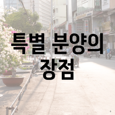 특별 분양의 장점