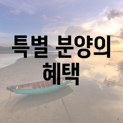 특별 분양의 혜택