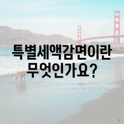 특별세액감면이란 무엇인가요?