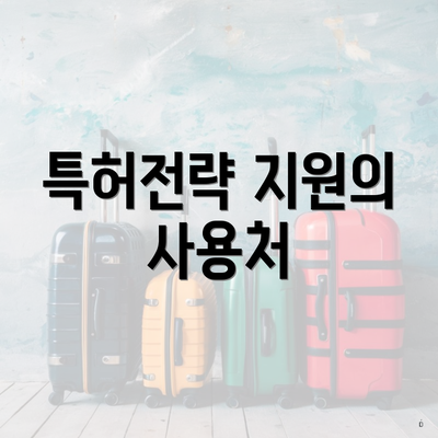 특허전략 지원의 사용처