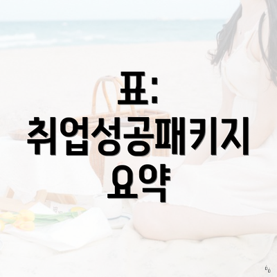 표: 취업성공패키지 요약
