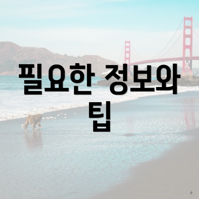필요한 정보와 팁