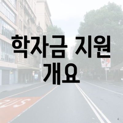 학자금 지원 개요