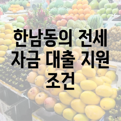 한남동의 전세 자금 대출 지원 조건