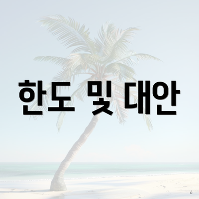 한도 및 대안