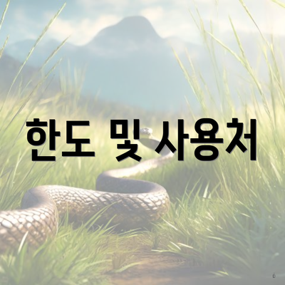 한도 및 사용처