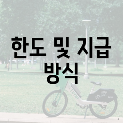 한도 및 지급 방식
