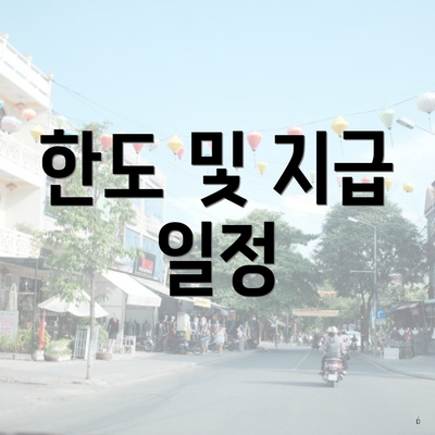 한도 및 지급 일정