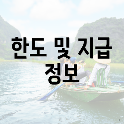한도 및 지급 정보