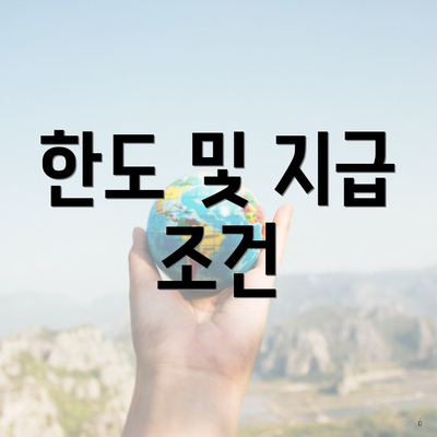 한도 및 지급 조건