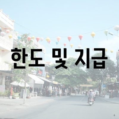 한도 및 지급