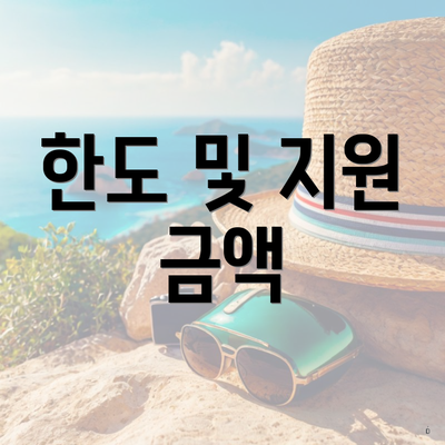 한도 및 지원 금액